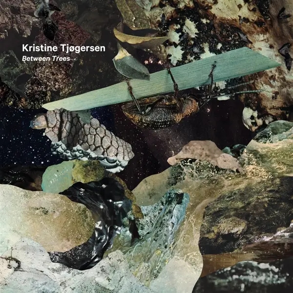 Album artwork for Kristine Tjogersen: Between Trees by Norwegian Radio Orchestra