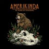 Album artwork for Amerikinda: 20 Years Of Dualtone by Various