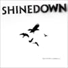 Album artwork for The Sound Of Madness by Shinedown