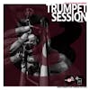 Album artwork for Vinyl And Media: Trumpet Session by Various