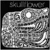 Album artwork for Kino I: Birthdeath by Skullflower