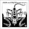 Album artwork for Kino III: Xaman by Skullflower