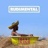 Album artwork for Toast to our Differences by Rudimental