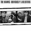 Album artwork for Obviously 5 Believers by The Hawks