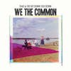 Album artwork for We The Common by Thao and The Get Down Stay Down
