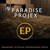 Album artwork for The Paradise Projex by The Paradise Projex