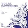 Album artwork for Vocal Patterns by The Roger Webb Sound