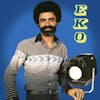 Album artwork for Funky Disco Music by EKO