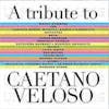 Album artwork for Various - A Tribute To Caetano Veloso by Various