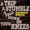 Album artwork for A Trip A Stumble A Fall Down On Your Knees by Seasick Steve