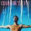 Illustration de lalbum pour Chaos For The Fly par Grian Chatten