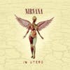 Album artwork for In Utero (2013 Mix) by Nirvana