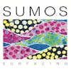 Album artwork for Surfacing by Sumos