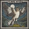 Album artwork for Texas Wild by Various