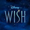 Album artwork for Wish (Original Motion Picture Soundtrack) by Various Artists