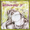 Illustration de lalbum pour You're Living All Over Me par Dinosaur Jr