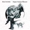 Album artwork for Angus Tempus Memoir by Blue Orchids