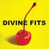 Album artwork for A Thing Called Divine Fits by Divine Fits