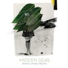 Album artwork for Hidden Seas by Maria Chiara Argiro