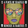 Album artwork for Remixes and Rarities by A Flock Of Seagulls