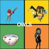 Album artwork for Owls by Owls
