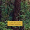 Album artwork for Leave No Trace Original Soundtrack by Dickon Hinchliffe