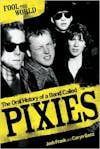 Album artwork for Pixies: Fool The World by Josh Frank