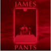 Album artwork for James Pants by James Pants