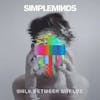 Album Artwork für Walk Between Worlds von Simple Minds