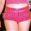 Illustration de lalbum pour The Teaches Of Peaches par Peaches