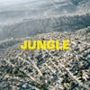 Album Artwork für Jungle von The Blaze