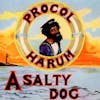 Illustration de lalbum pour A Salty Dog: 2CD Deluxe Remastered & Expanded Edit par Procol Harum