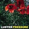 Album Artwork für Pressure von Luster