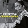 Illustration de lalbum pour The Essential par Cesaria Evora