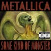 Album Artwork für Some Kind Of Monster von Metallica