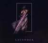 Illustration de lalbum pour Lavender par Half Waif