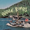 Illustration de lalbum pour Goose Bumps par Boyscott