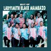 Album Artwork für Best of Ladysmith Black Mambazo von Ladysmith Black Mambazo