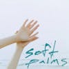 Illustration de lalbum pour Soft Palms par Soft Palms