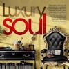 Illustration de lalbum pour Luxury Soul 2024 par Various