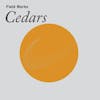 Album Artwork für Cedars von Field Works