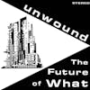 Illustration de lalbum pour The Future of What par Unwound