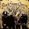Album Artwork für Black Stone Cherry von Black Stone Cherry