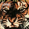 Album Artwork für Eye Of The Tiger von Survivor