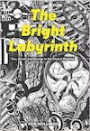 Album Artwork für The Bright Labyrinth: Sex, Death & Design in the Digital Regime: Sex, Death and Design in the Digital Regime von Ken Hollings
