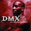Album artwork for It's Dark And Hell Is Hot by DMX