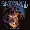Illustration de lalbum pour Built to Last par Grateful Dead