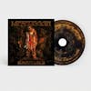 Illustration de lalbum pour Immutable par Meshuggah