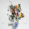 Illustration de lalbum pour A Chaos Of Flowers par Big|brave