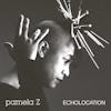 Album Artwork für Echolocation von Pamela Z